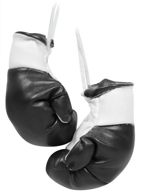 Ароматизатор JP PBOX-71 Боксерские перчатки (новая машина)