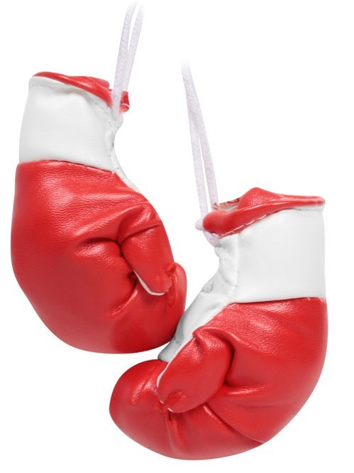 Ароматизатор JP PBOX-189 Боксерские перчатки (эгоист)