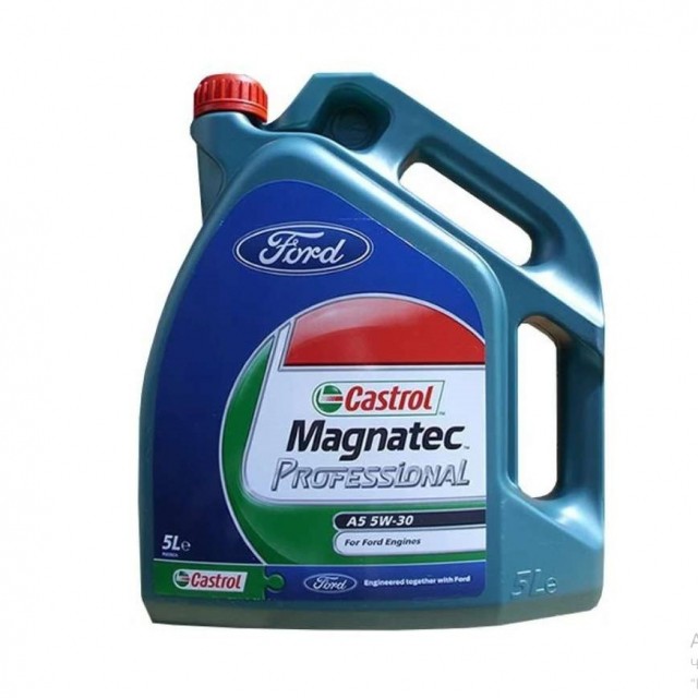Масло моторное Castrol Magnatec Professional 5W30 A5 Ford (5 л)