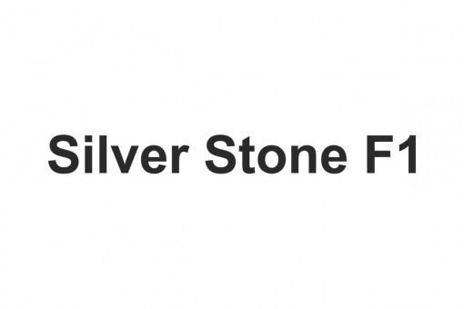 Видеорегистраторы Silver Stone F1